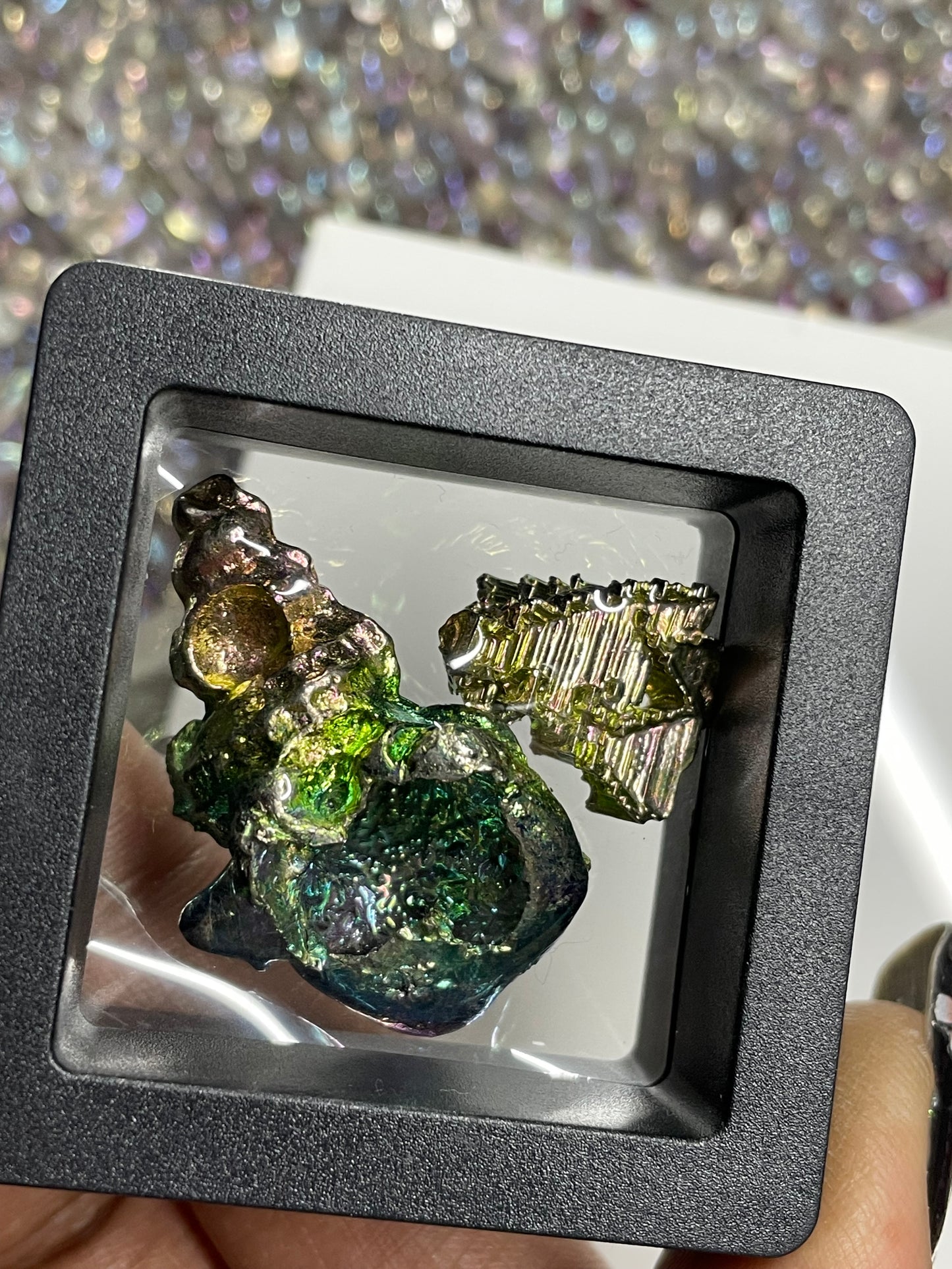 Bismuth Tulip Sea Shell & Mini Crystal Gift Set
