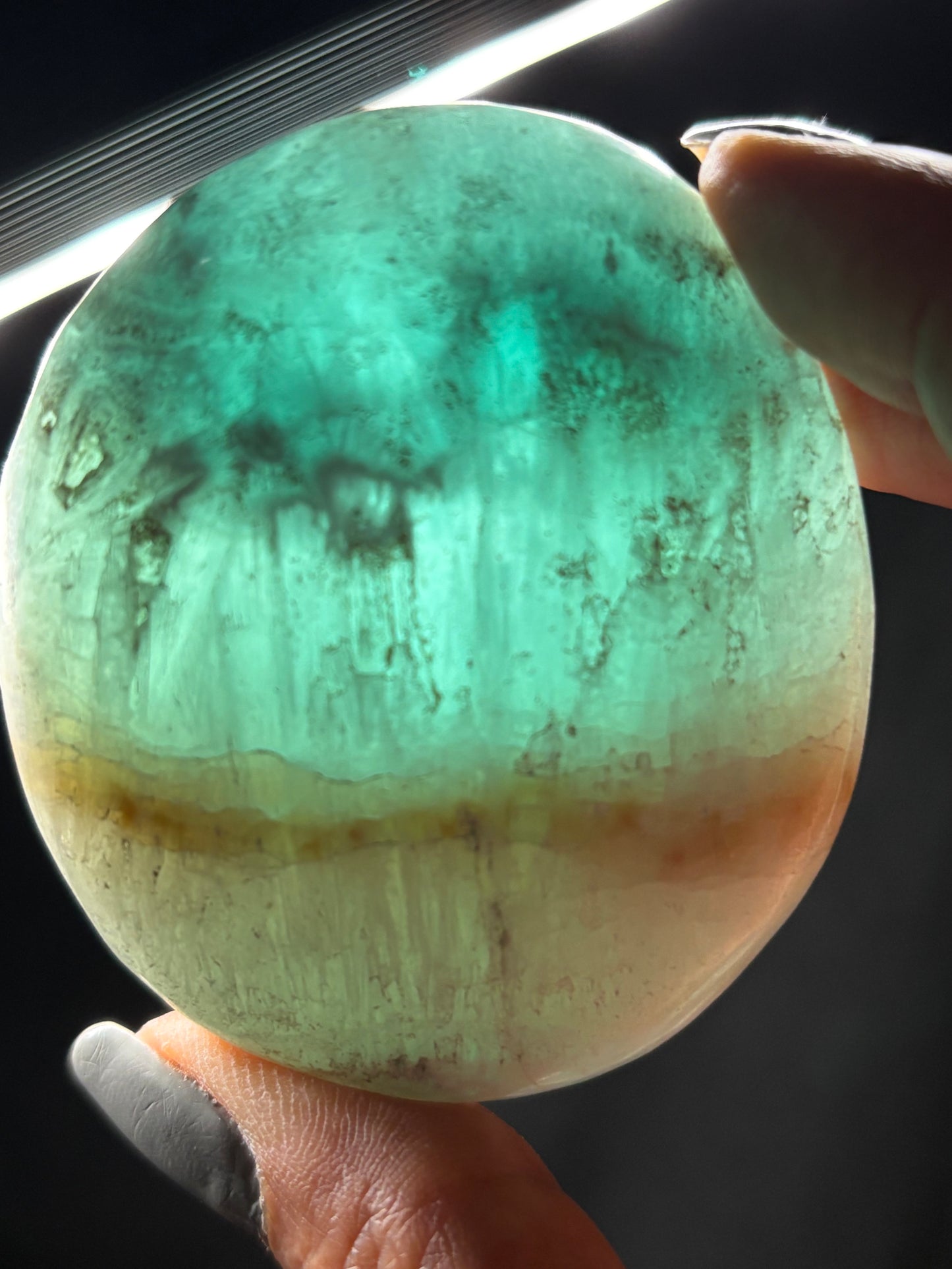 Caribbean Calcite Aragonite Crystal Gemstone Palm Stone - Medium (3)