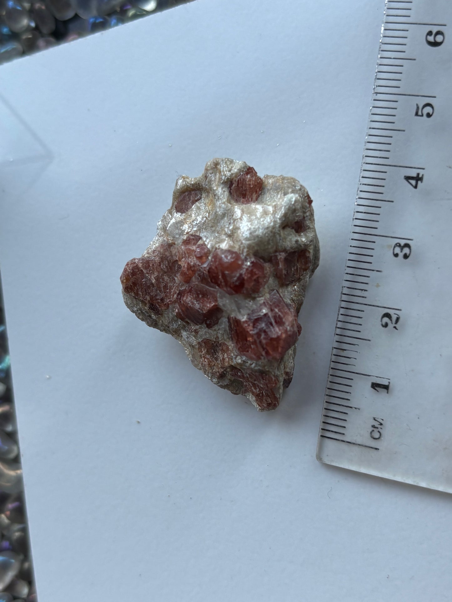 Spessertite Garnet In Schist Crystal Gemstone Rough Specimen (4)