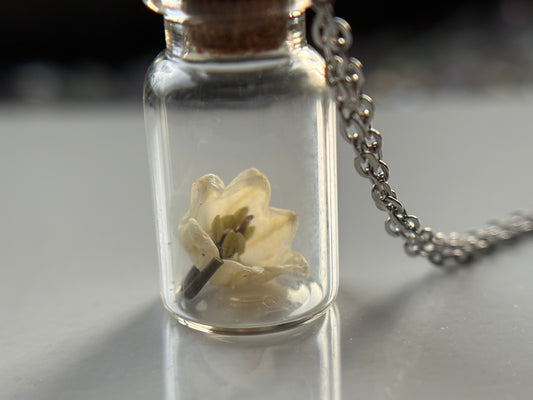 Secret Garden Dried Flower Vial Necklace Gift Set (silver)