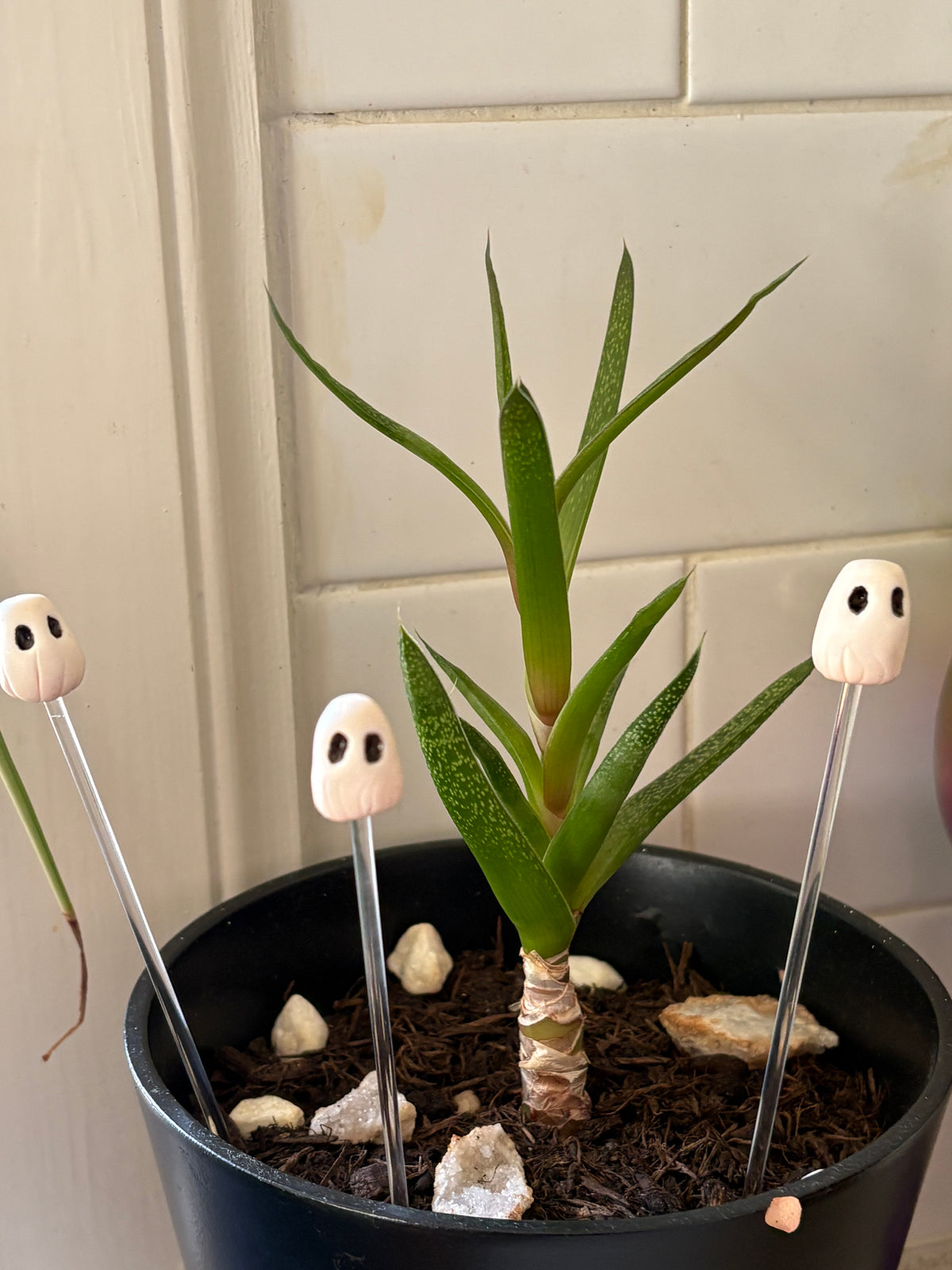 Ghostie Clay Art Plant Pot Buddy