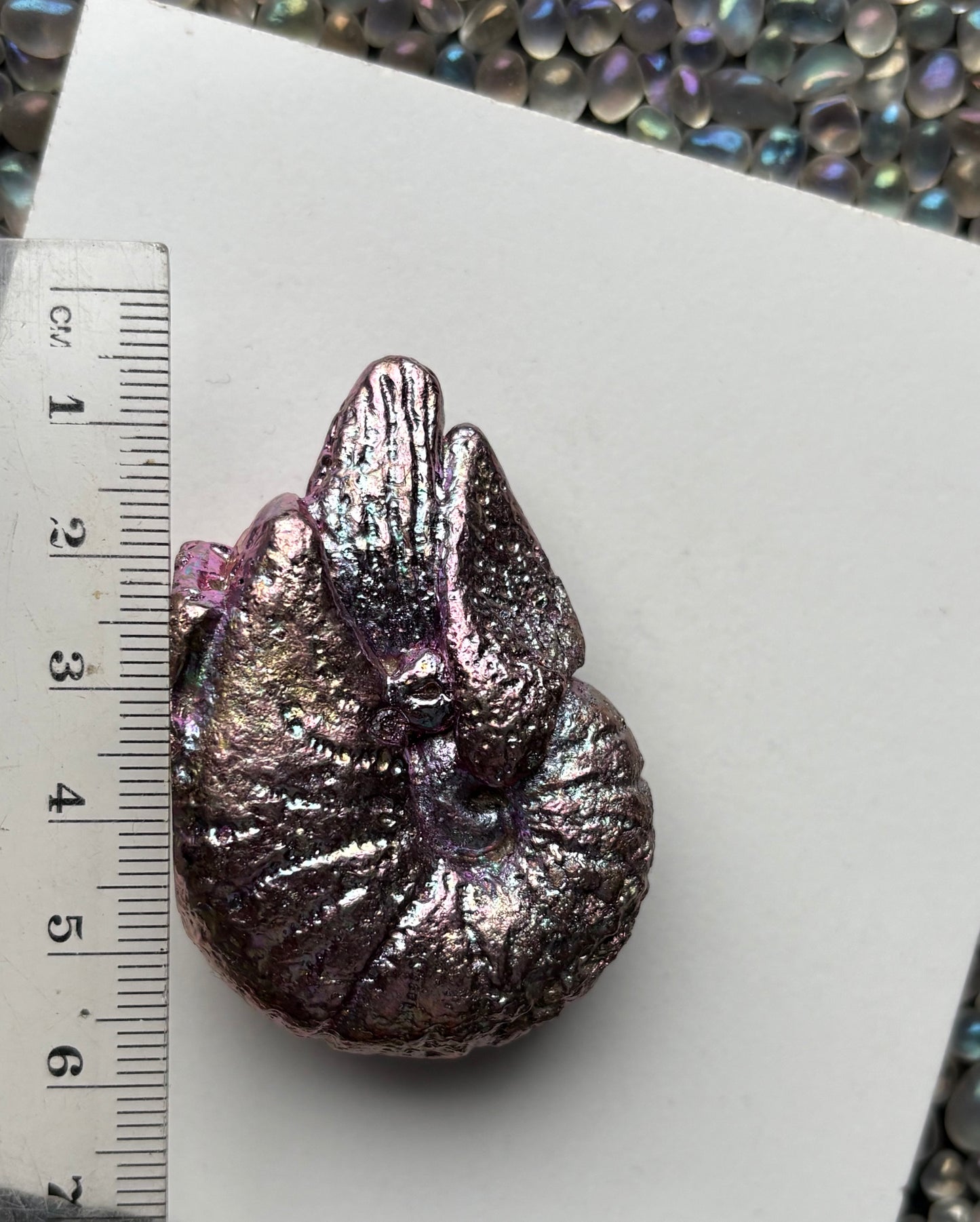 Pink Purple Bismuth Crystal Fossil (Nautilus) Metal Art Sculpture
