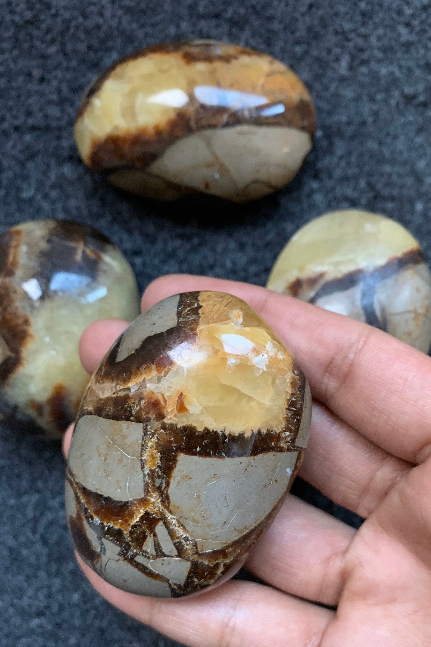 Septarian (dragons stone) Gemstone Crystal Chunky Palm Stone - Large