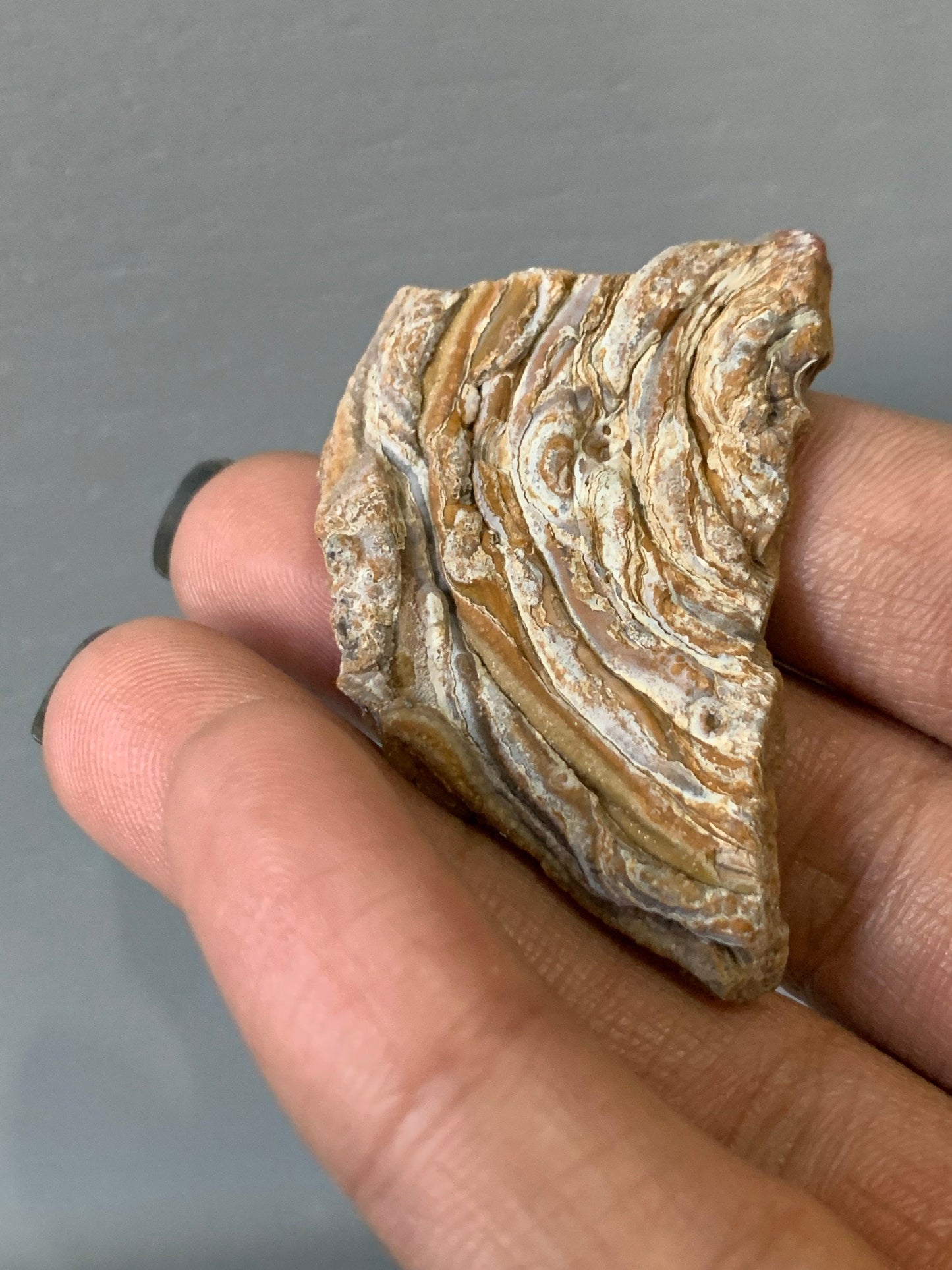 Aura Druzy Chalcedony Crystal Gemstone Galaxy Slice 1