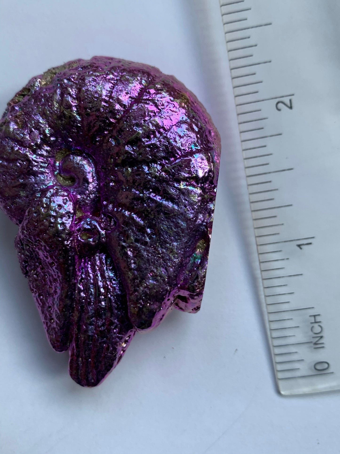 Pink Purple Bismuth Crystal Fossil (Nautilus) Metal Art Sculpture