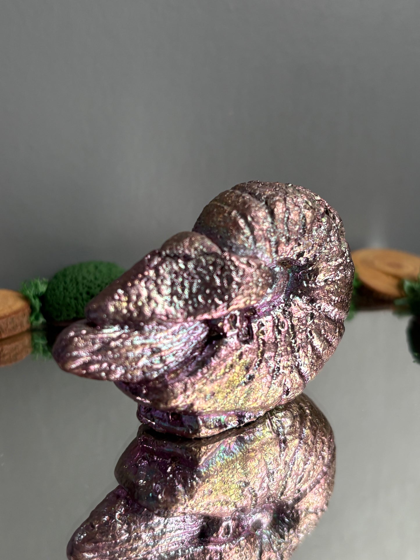 Pink Purple Bismuth Crystal Fossil (Nautilus) Metal Art Sculpture