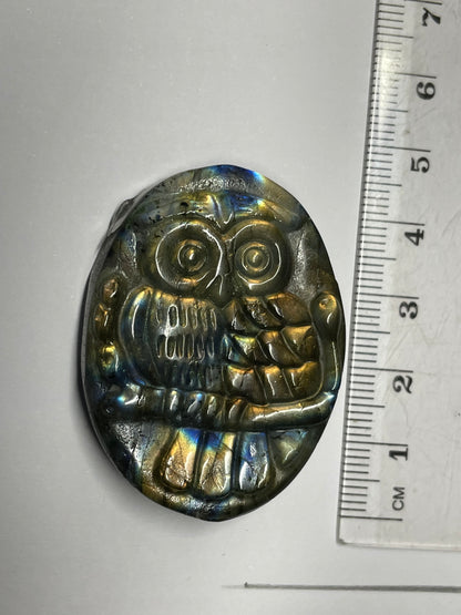 Labradorite Crystal Gemstone Flat Owl Carving (4)