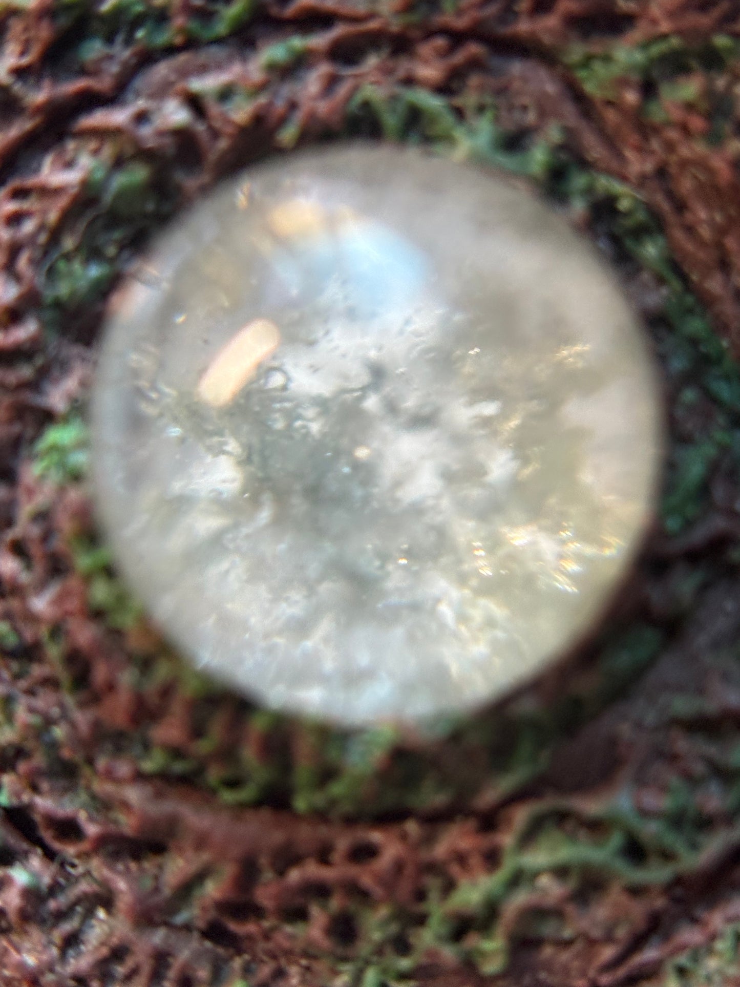 Lodalite Garden Quartz Crystal Gemstone Enchanted Forest Necklace (2)