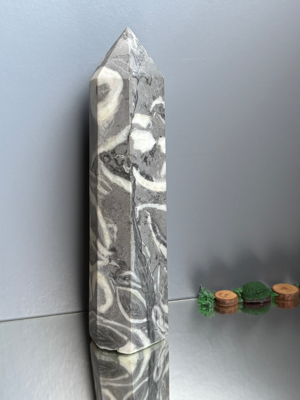 Thousand Eye Jasper Crystal Gemstone Tower Point - L1