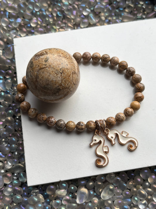 Fossil Jasper Crystal Gemstone Sphere & Bracelet Gift Set