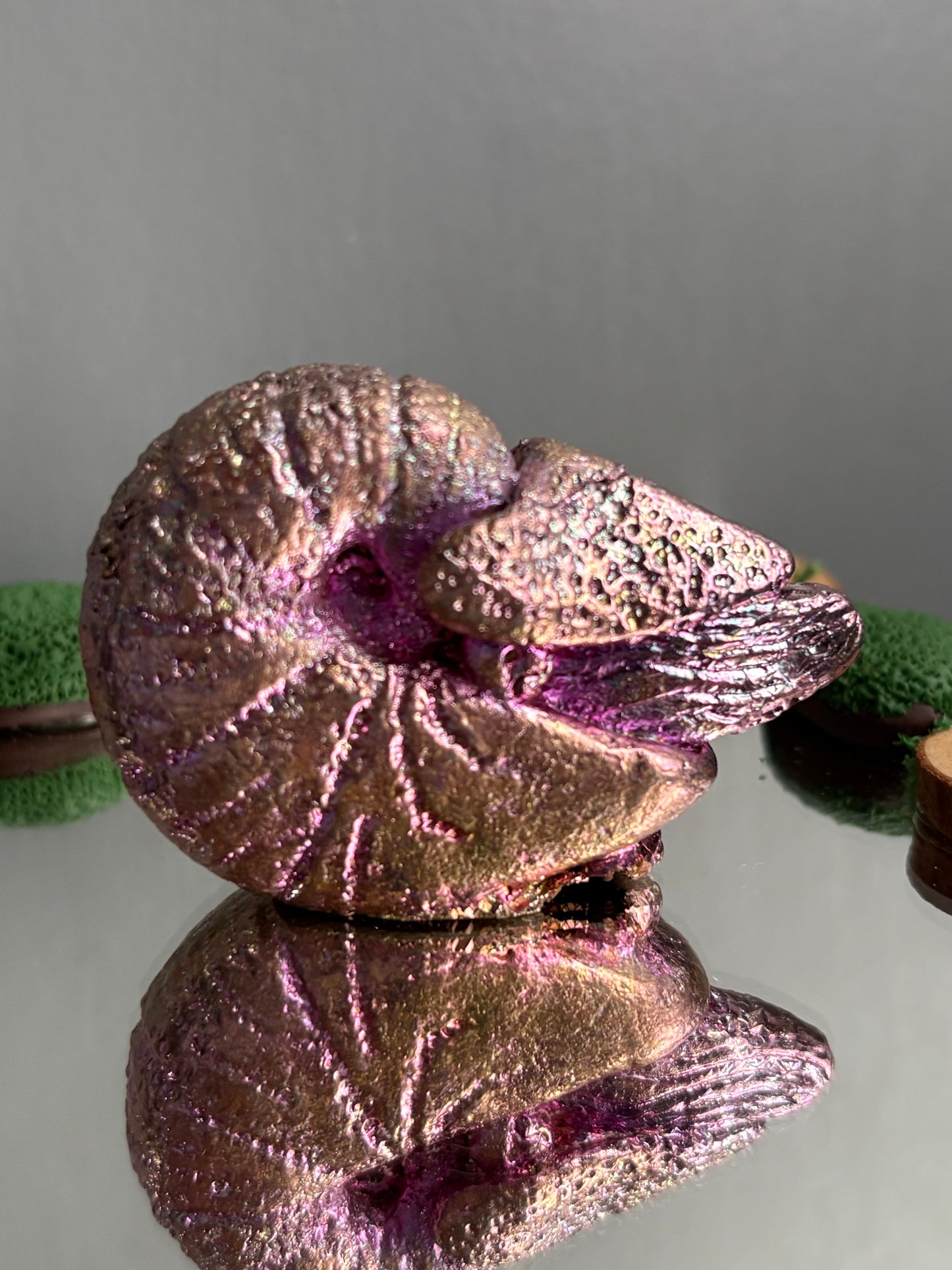 Pink Purple Bismuth Crystal Fossil (Nautilus) Metal Art Sculpture