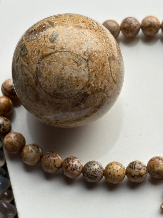 Fossil Jasper Crystal Gemstone Sphere & Bracelet Gift Set