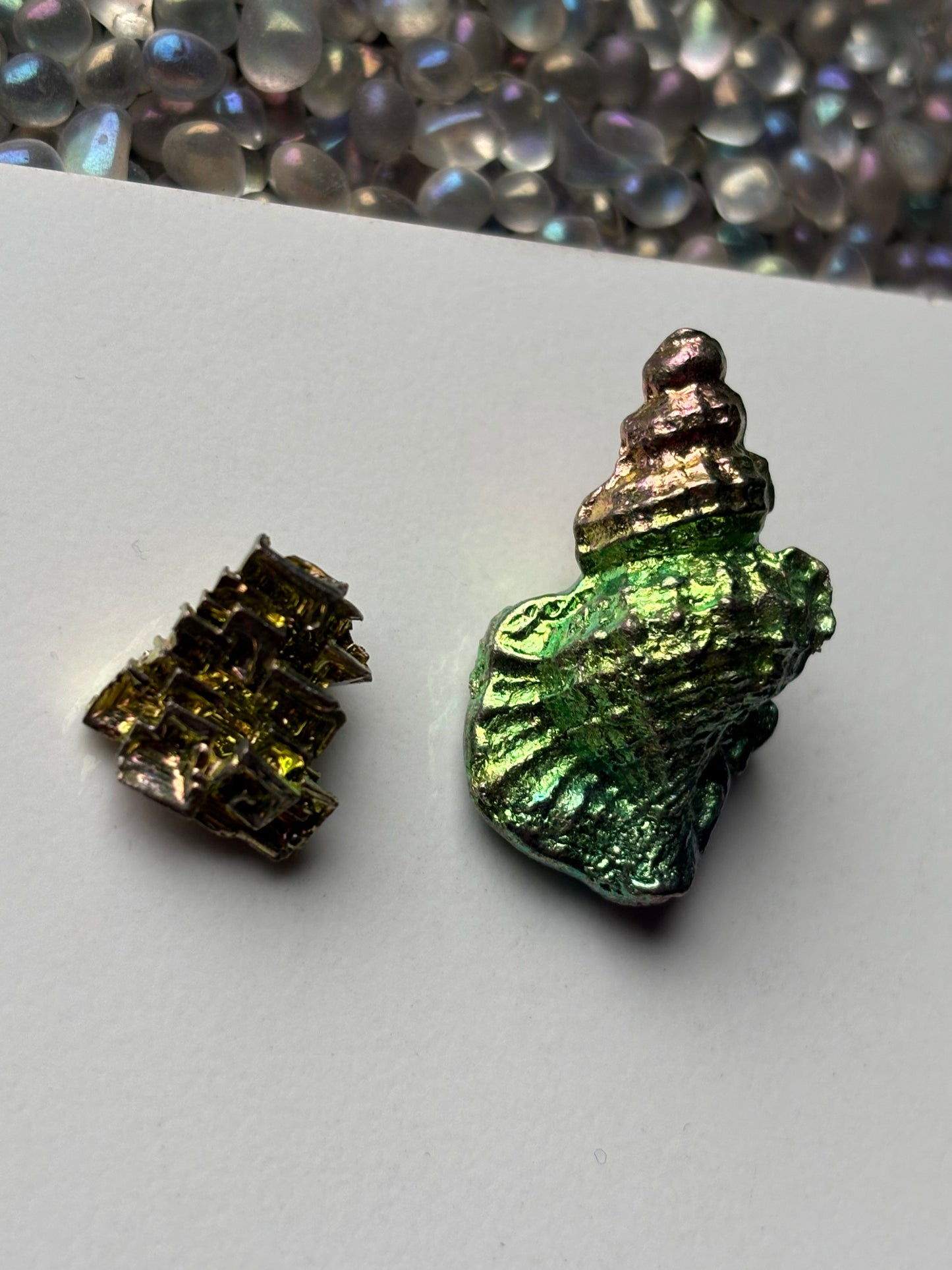 Bismuth Tulip Sea Shell Sculpture & Mini Crystal Gift Set