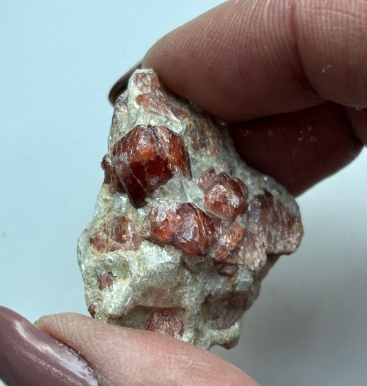 Spessertite Garnet In Schist Crystal Gemstone Rough Specimen (4)