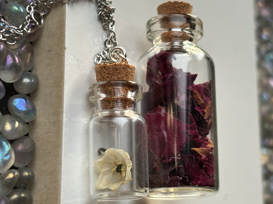 Secret Garden Dried Flower Vial Necklace Gift Set (silver)