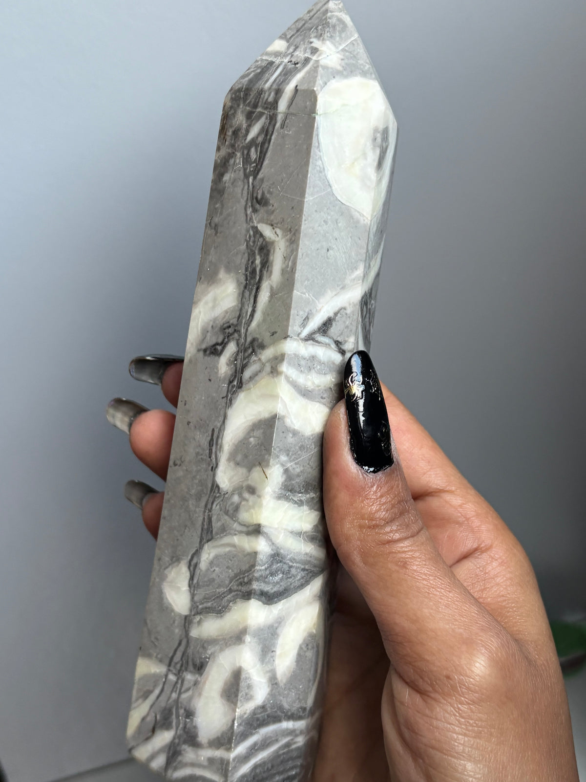 Thousand Eye Jasper Crystal Gemstone Tower Point - L1