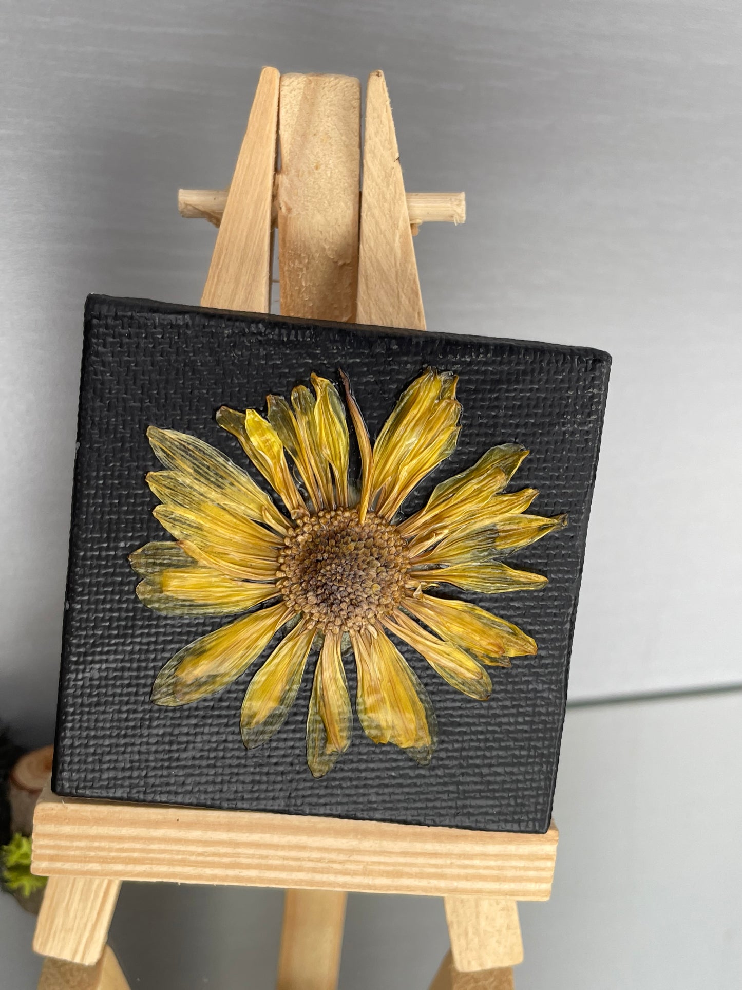 Pressed Chrysanthemum Flower Mini Canvas Easel Art