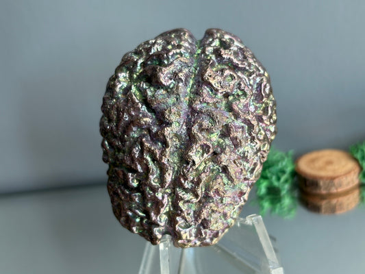 Purple Blue Bismuth Crystal Brain Metal Art Sculpture