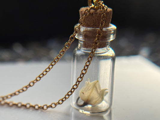 Secret Garden Dried Flower Vial Necklace Gift Set (gold)