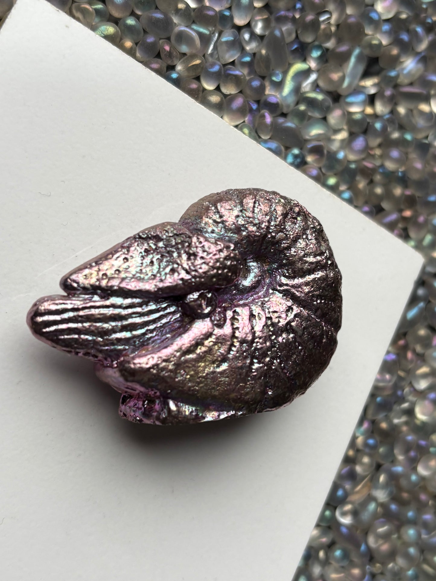Pink Purple Bismuth Crystal Fossil (Nautilus) Metal Art Sculpture