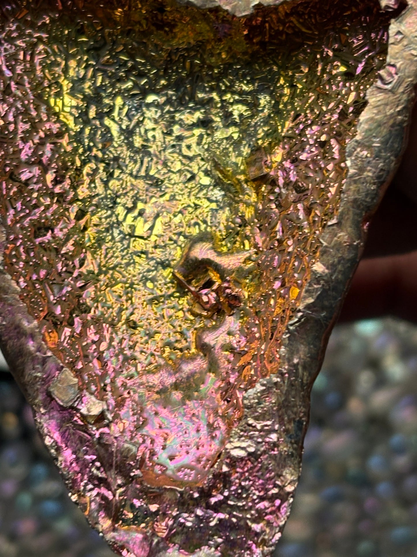 Pink Bismuth Crystal Megalodon Fossil Shark Tooth Metal Art Sculpture