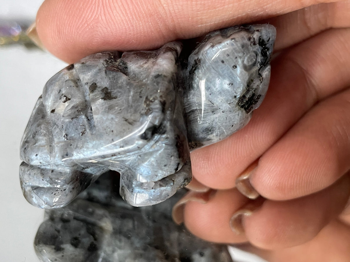 Larvikite Gemstone Crystal Turtle Animal Carving Small