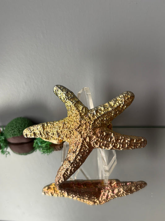 Gold Peach Bismuth Crystal Large Starfish Metal Art Sculpture