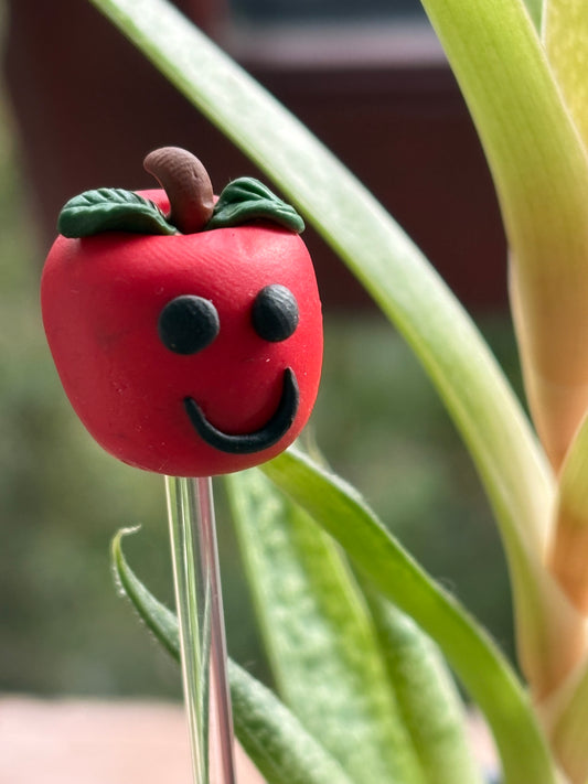 Annie The Apple Clay Art Plant Pot Buddy