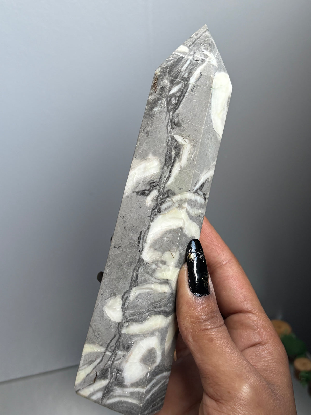 Thousand Eye Jasper Crystal Gemstone Tower Point - L1