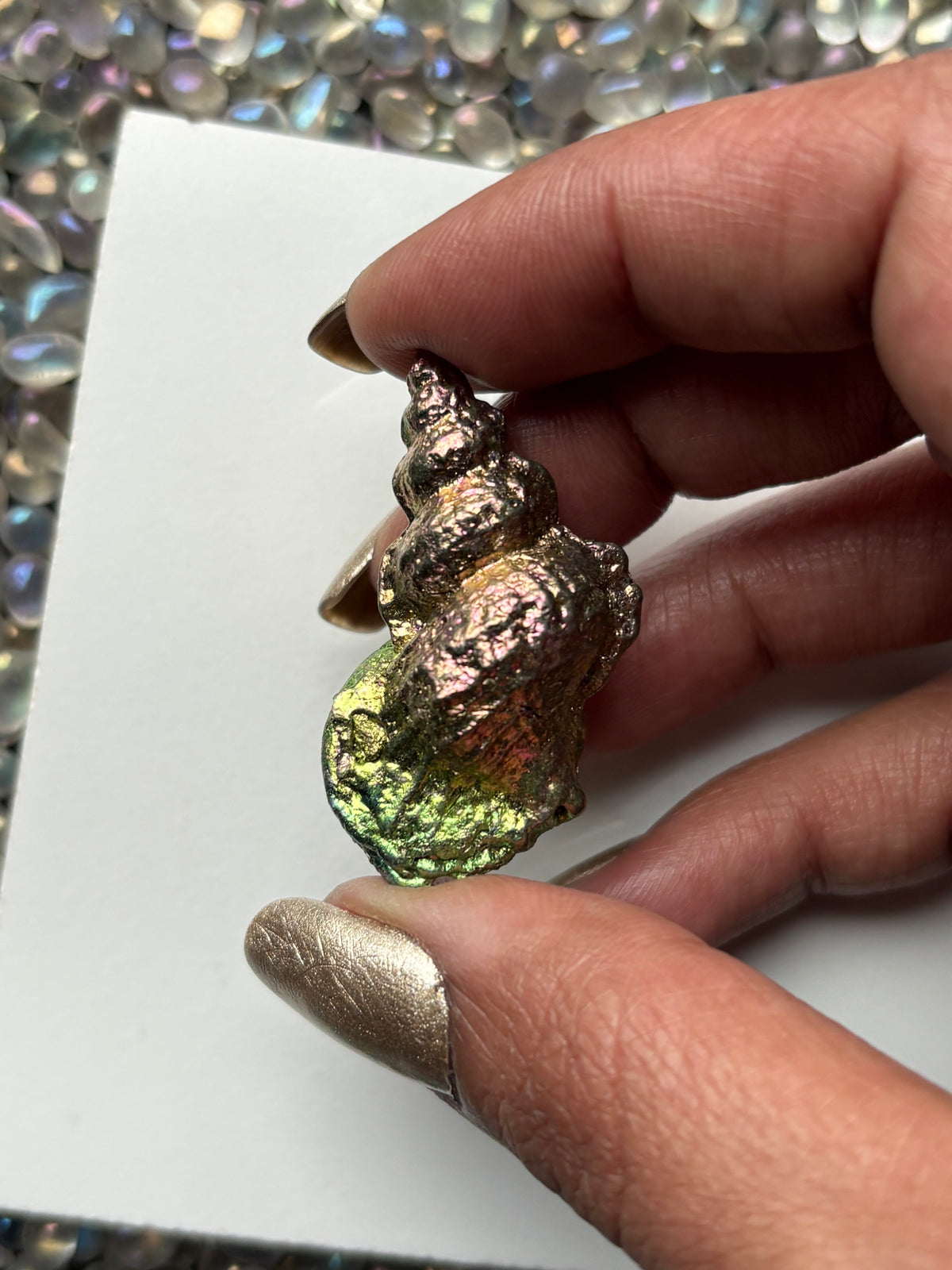 Pink & Green Bismuth Crystal Tulip Sea Shell Metal Art Sculpture