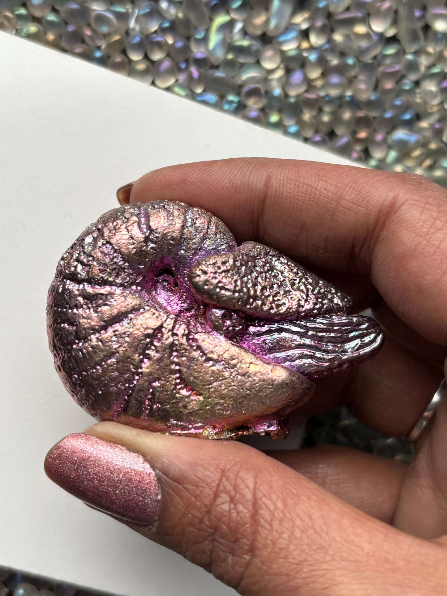 Pink Purple Bismuth Crystal Fossil (Nautilus) Metal Art Sculpture