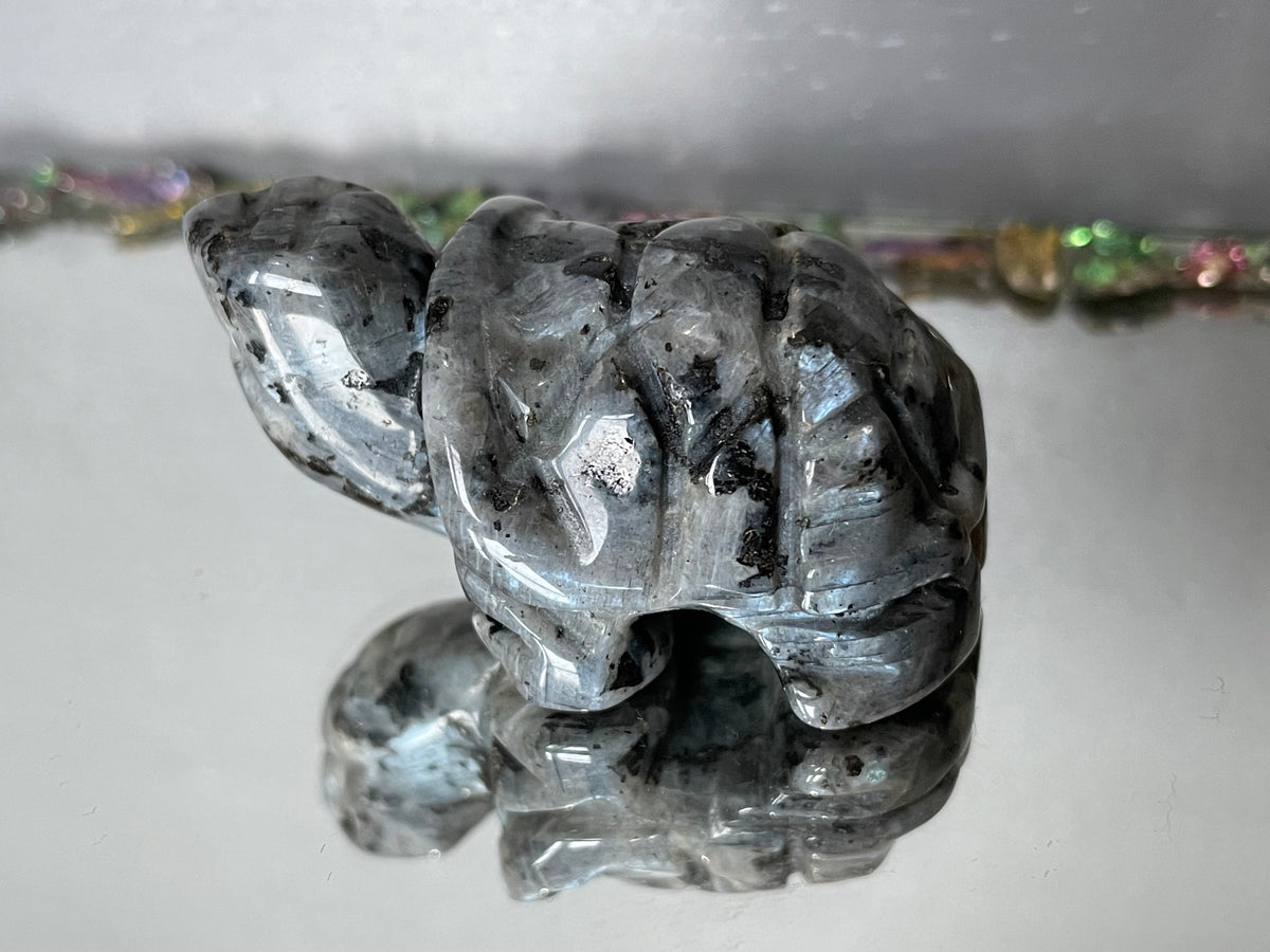 Larvikite Gemstone Crystal Turtle Animal Carving Small
