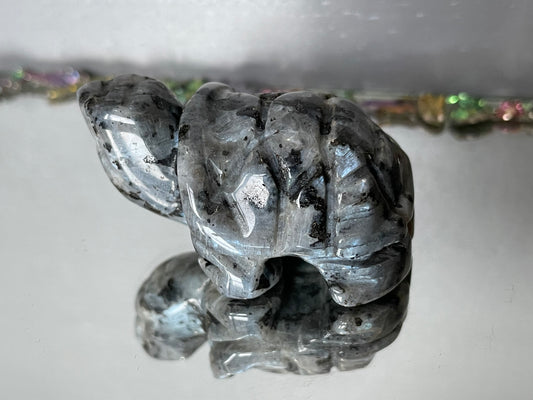Larvikite Gemstone Crystal Turtle Animal Carving Small