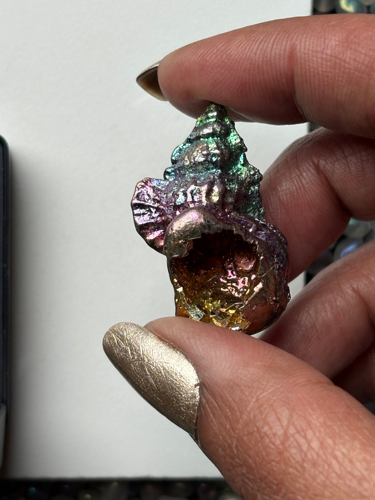 Rainbow Bismuth Crystal Tulip Sea Shell Metal Art Sculpture
