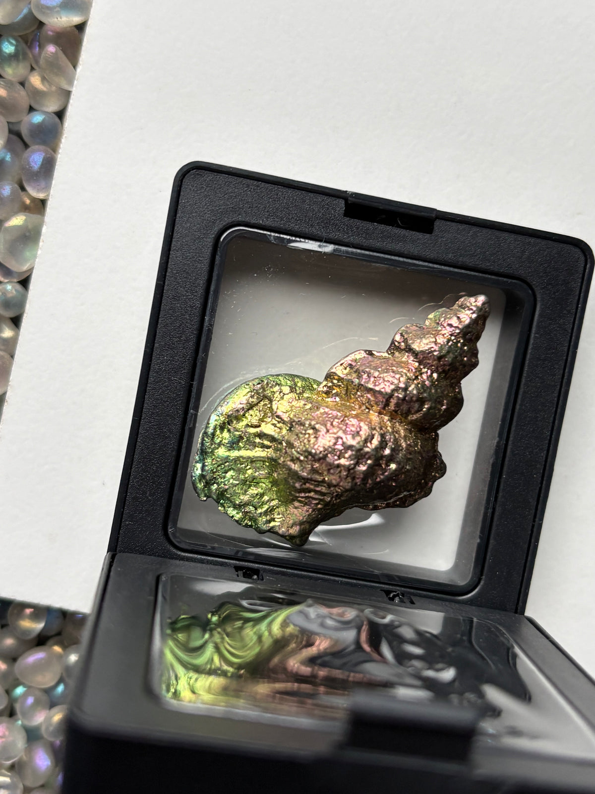 Pink & Green Bismuth Crystal Tulip Sea Shell Metal Art Sculpture
