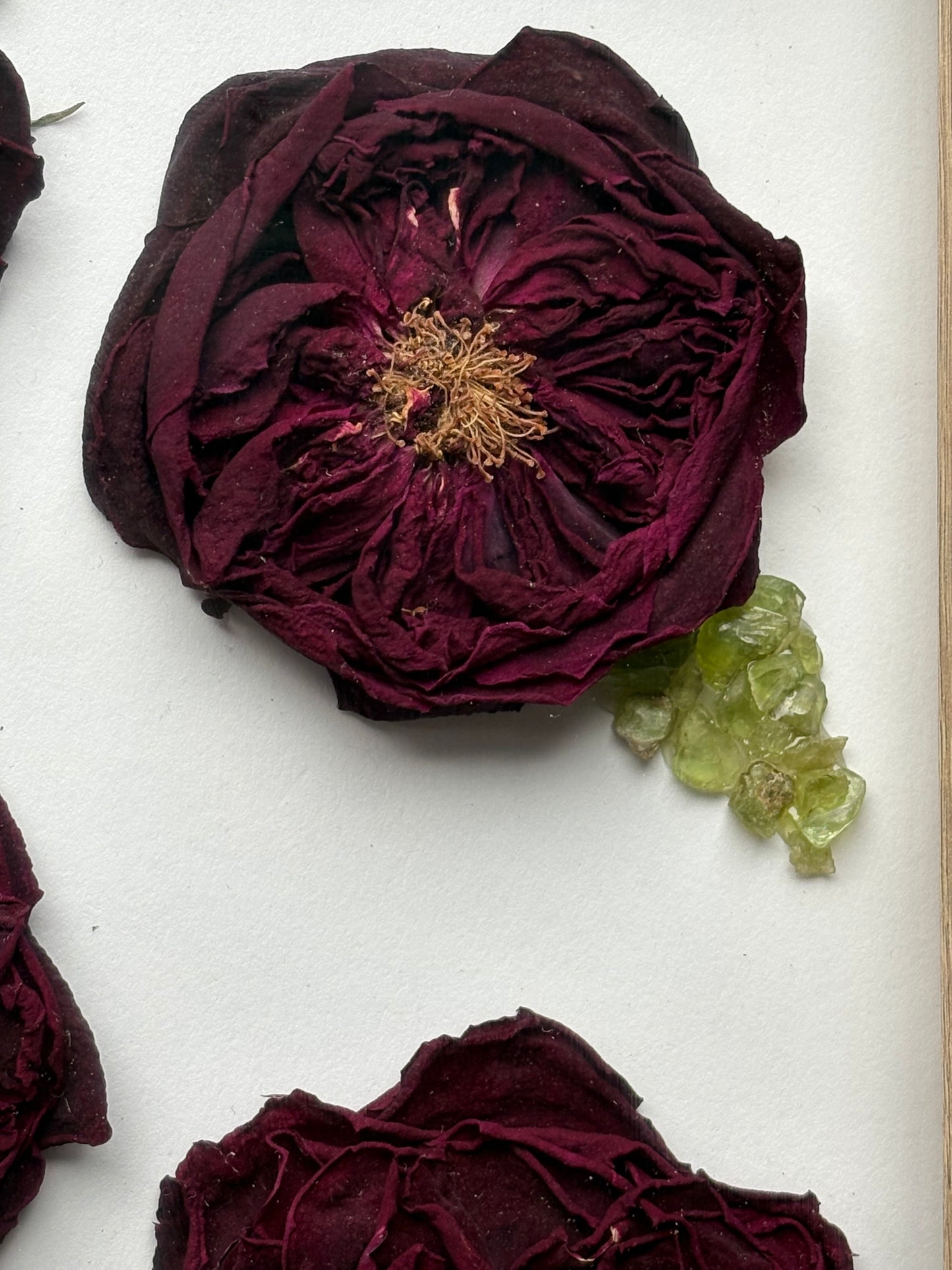 Full Dried Scottish Roses & Peridot Crystal Gemstone Leaf Art