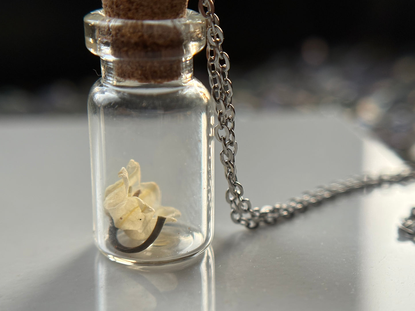 Secret Garden Dried Flower Vial Necklace Gift Set (silver)