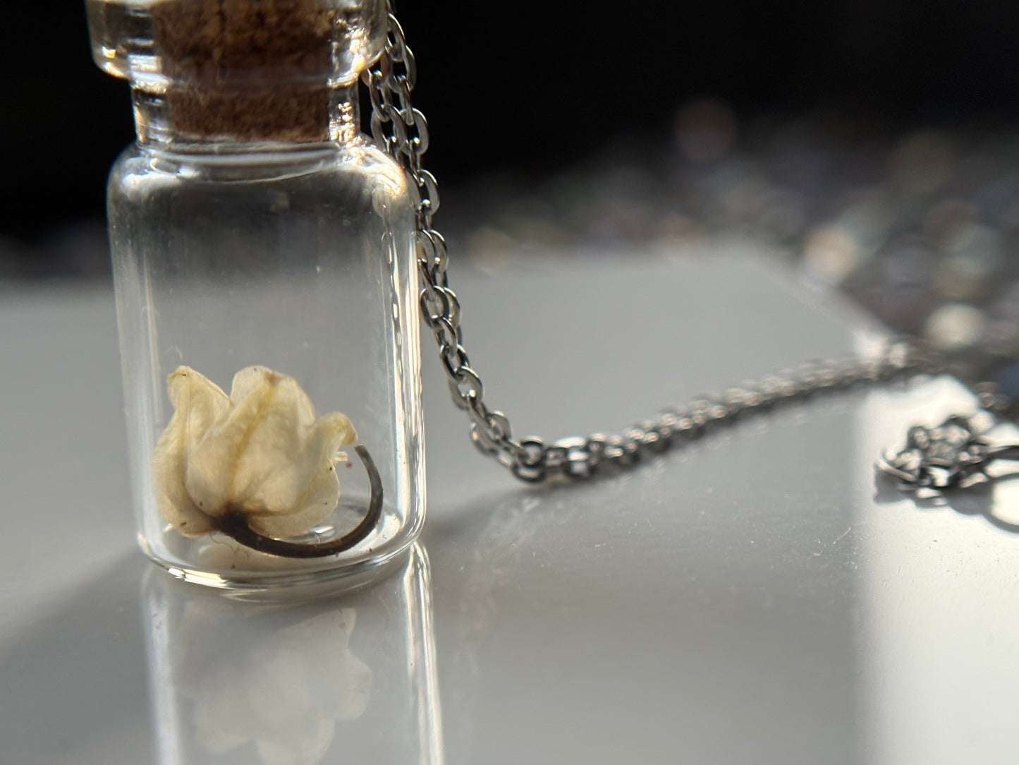 Secret Garden Dried Flower Vial Necklace Gift Set (silver)