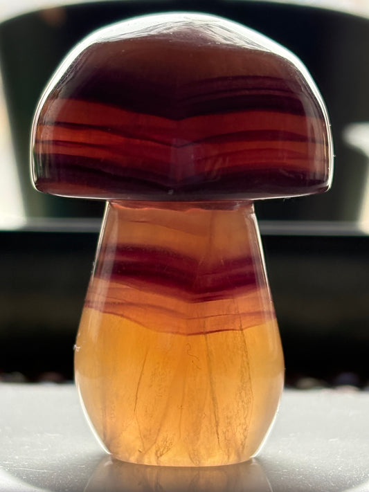 Purple Yellow Striped Fluorite Crystal Gemstone Mushroom Carving