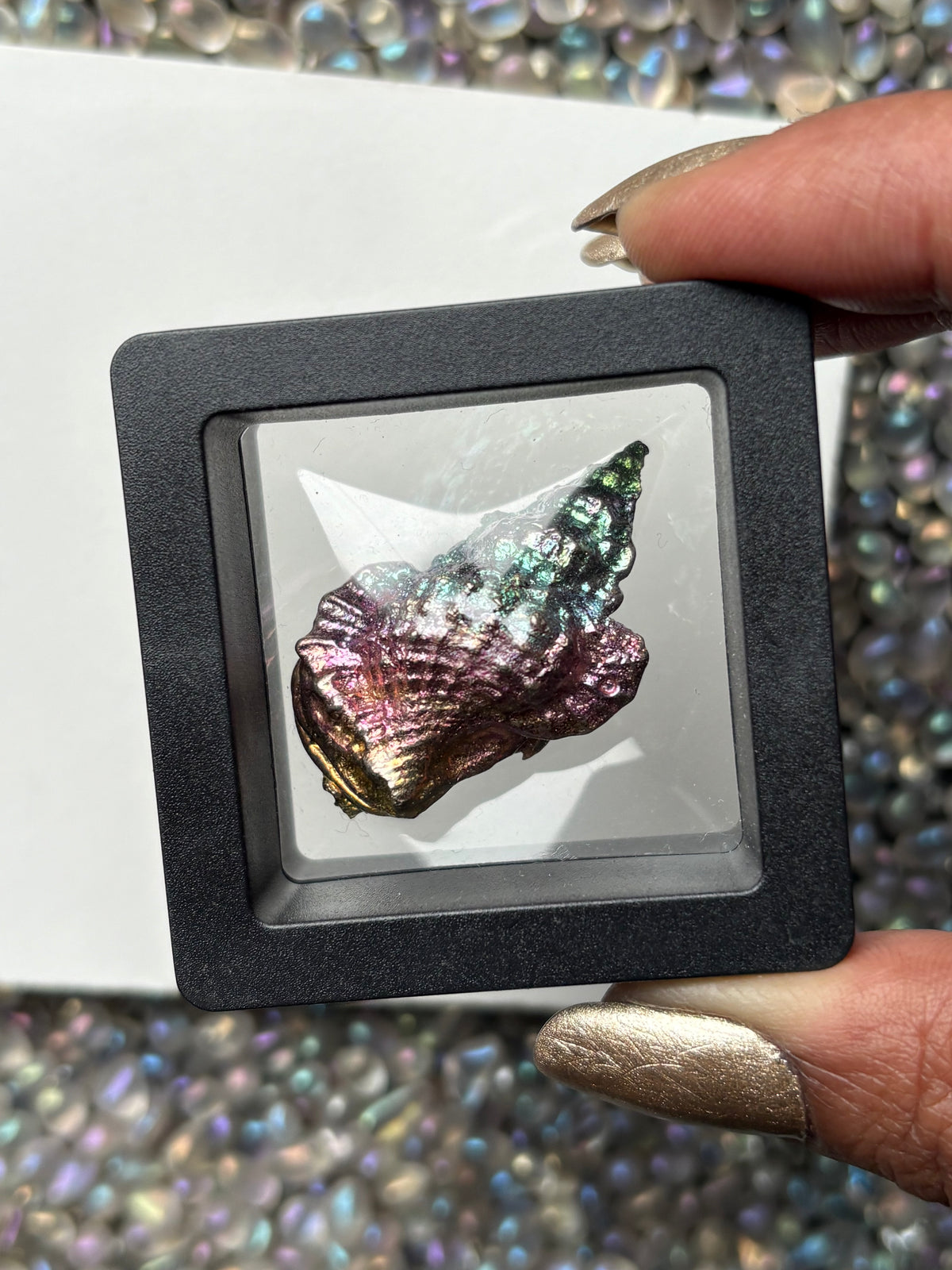 Rainbow Bismuth Crystal Tulip Sea Shell Metal Art Sculpture