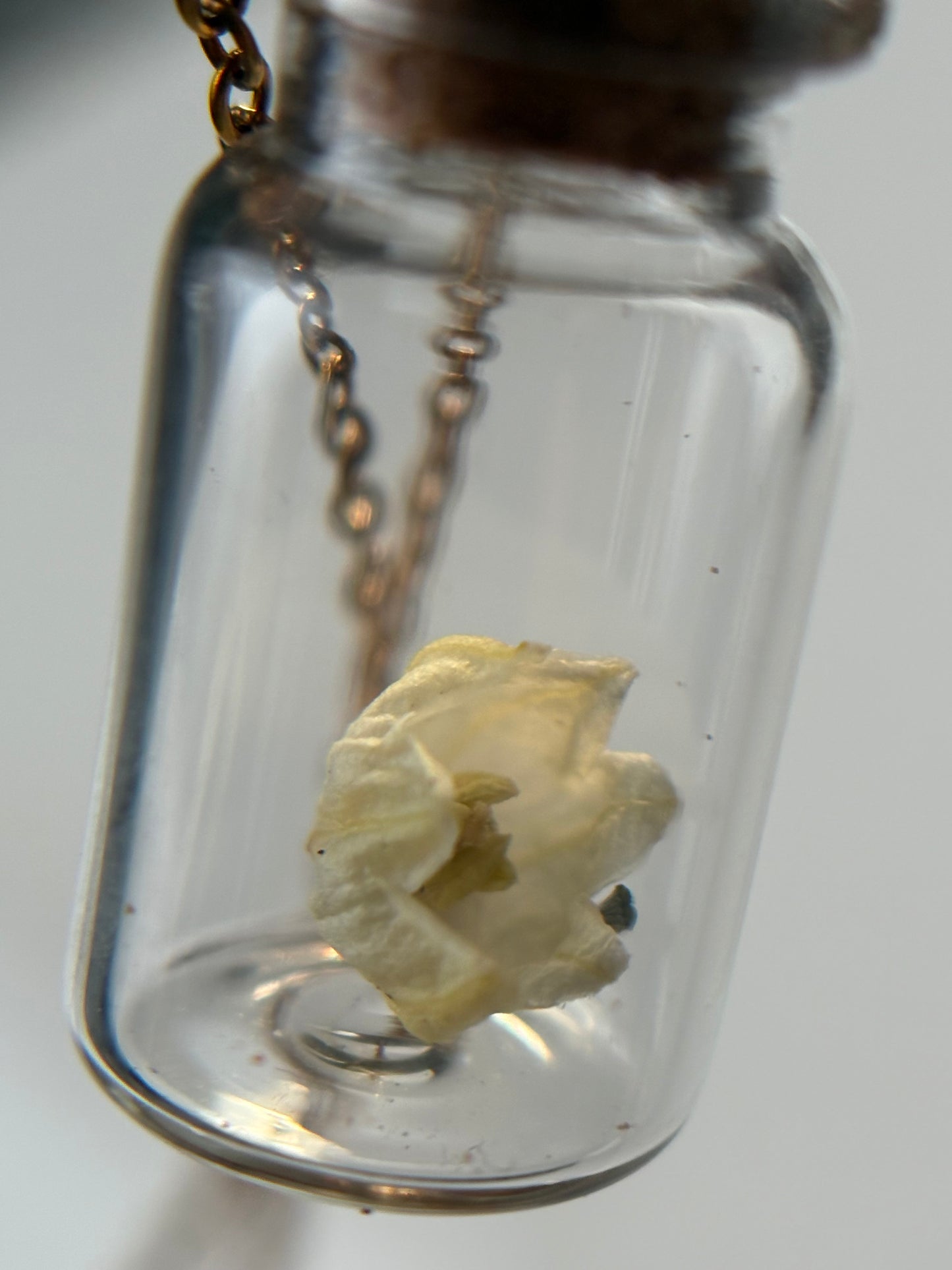 Secret Garden Dried Flower Vial Necklace Gift Set (gold)