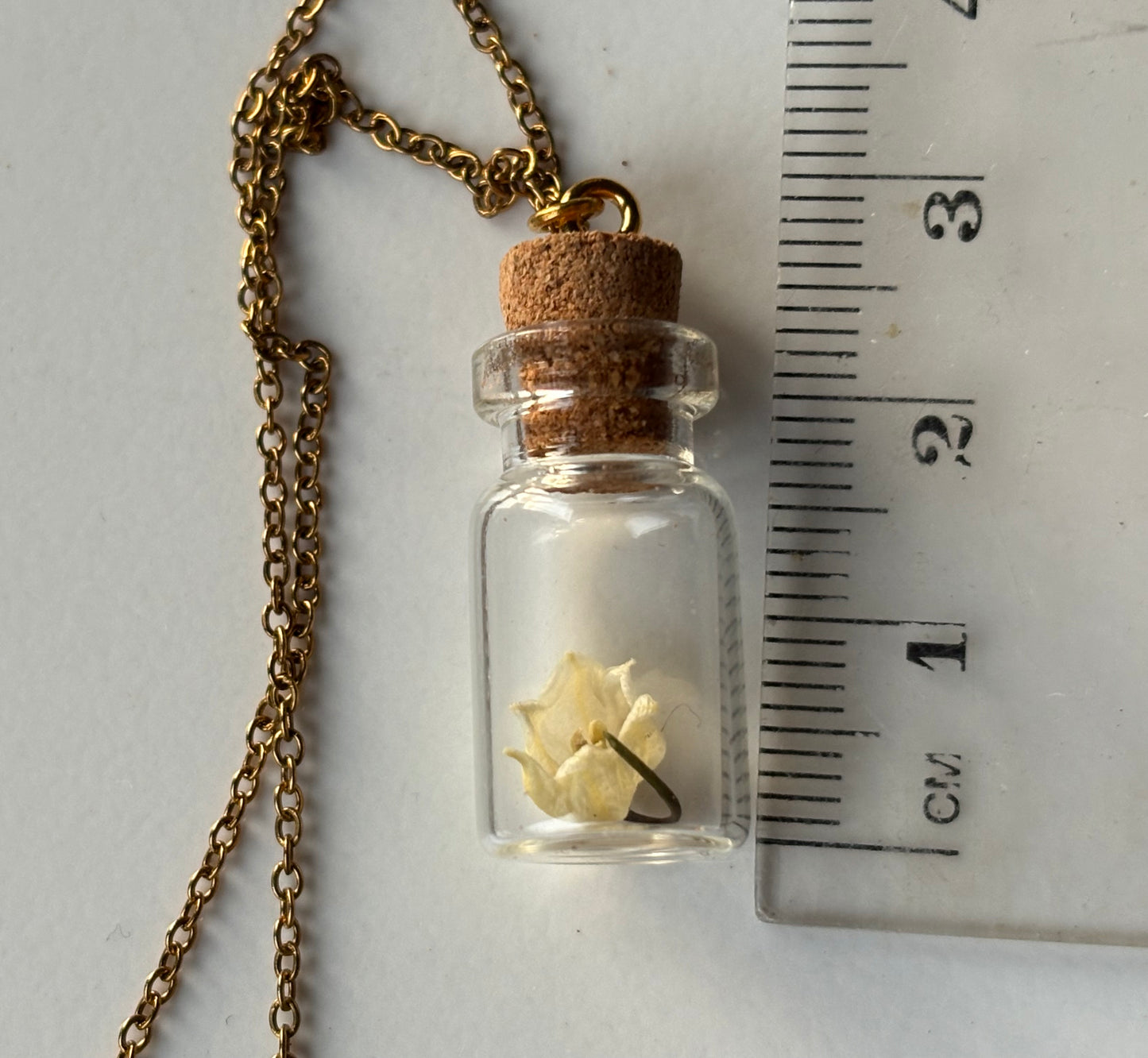 Secret Garden Dried Flower Vial Necklace Gift Set (gold)