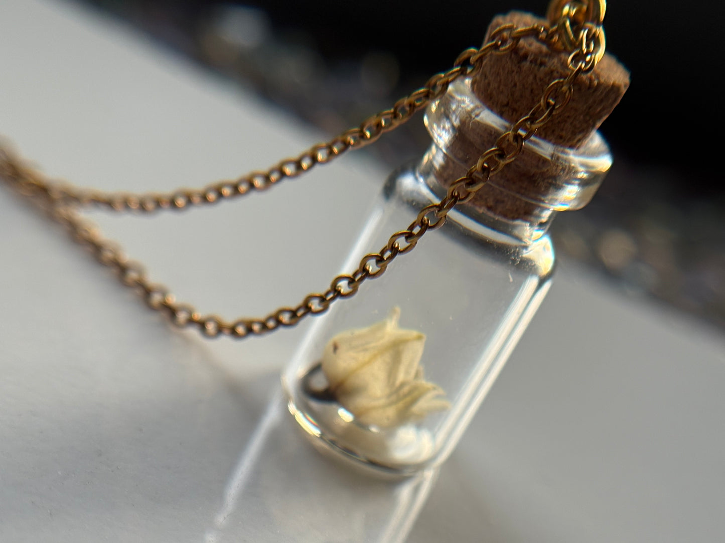 Secret Garden Dried Flower Vial Necklace Gift Set (gold)