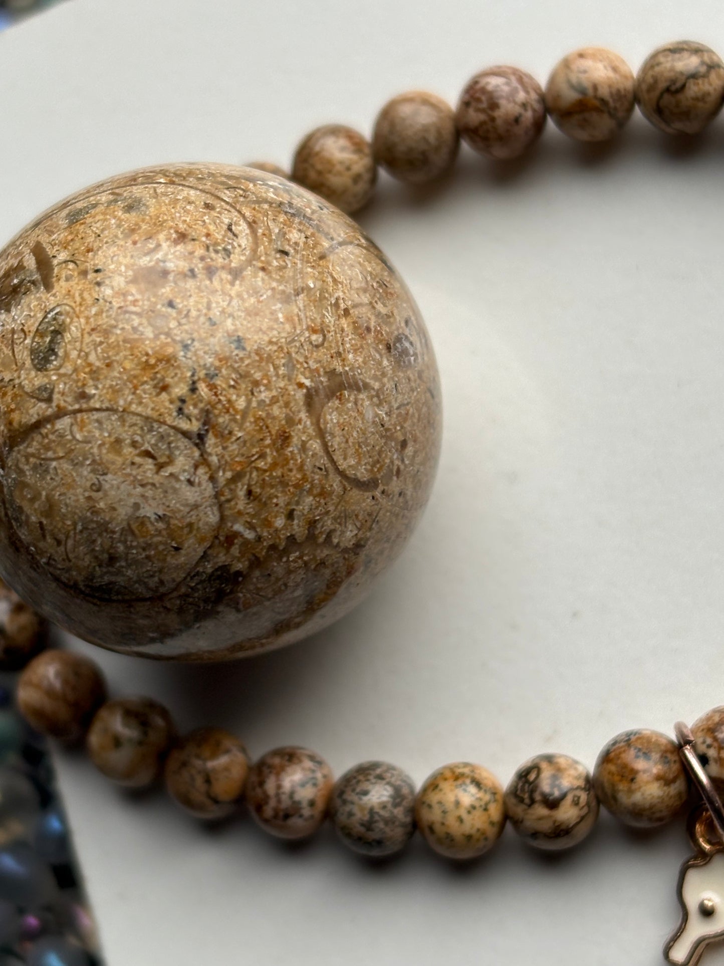 Fossil Jasper Crystal Gemstone Sphere & Bracelet Gift Set