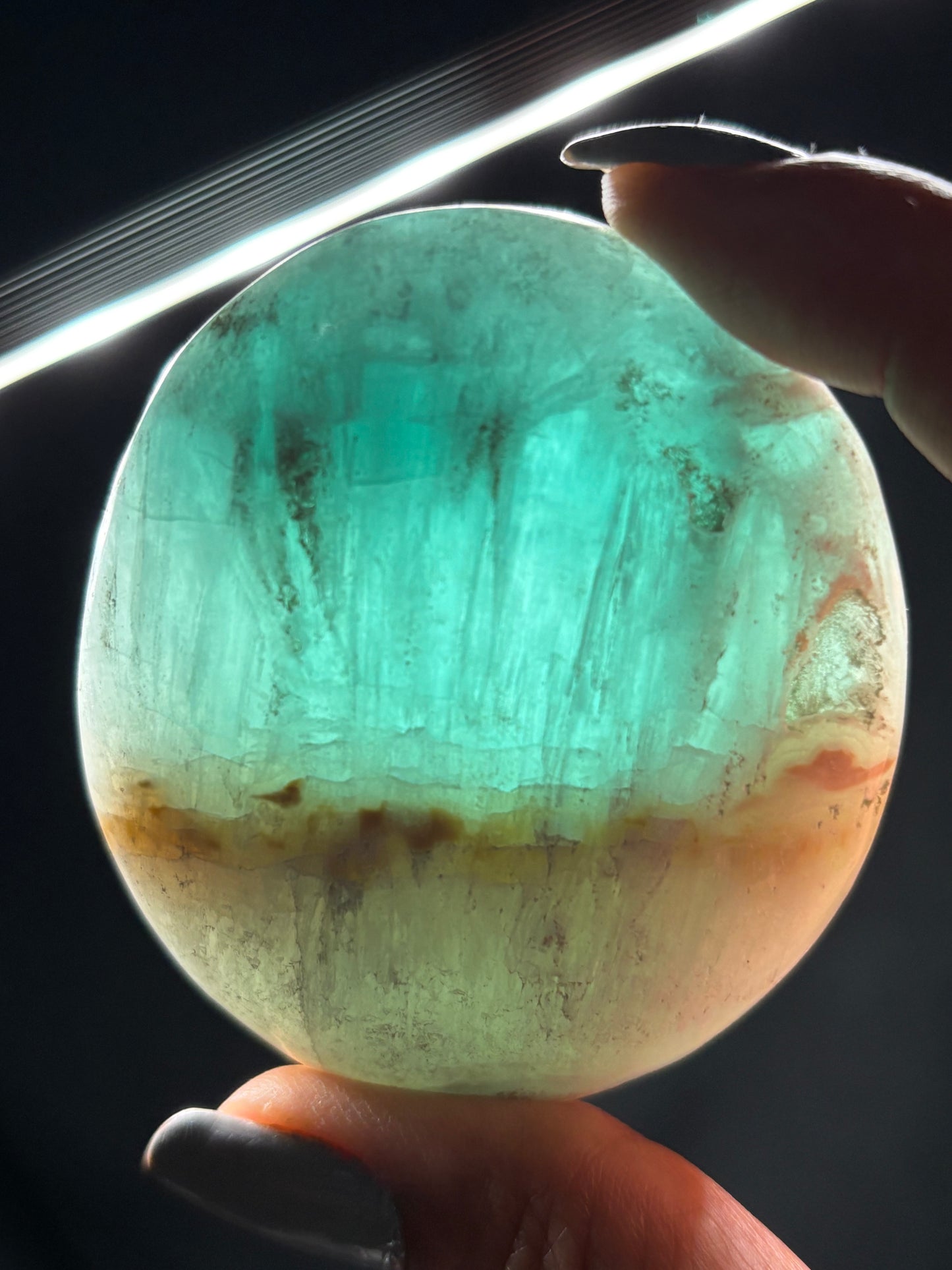 Caribbean Calcite Aragonite Crystal Gemstone Palm Stone - Medium (3)