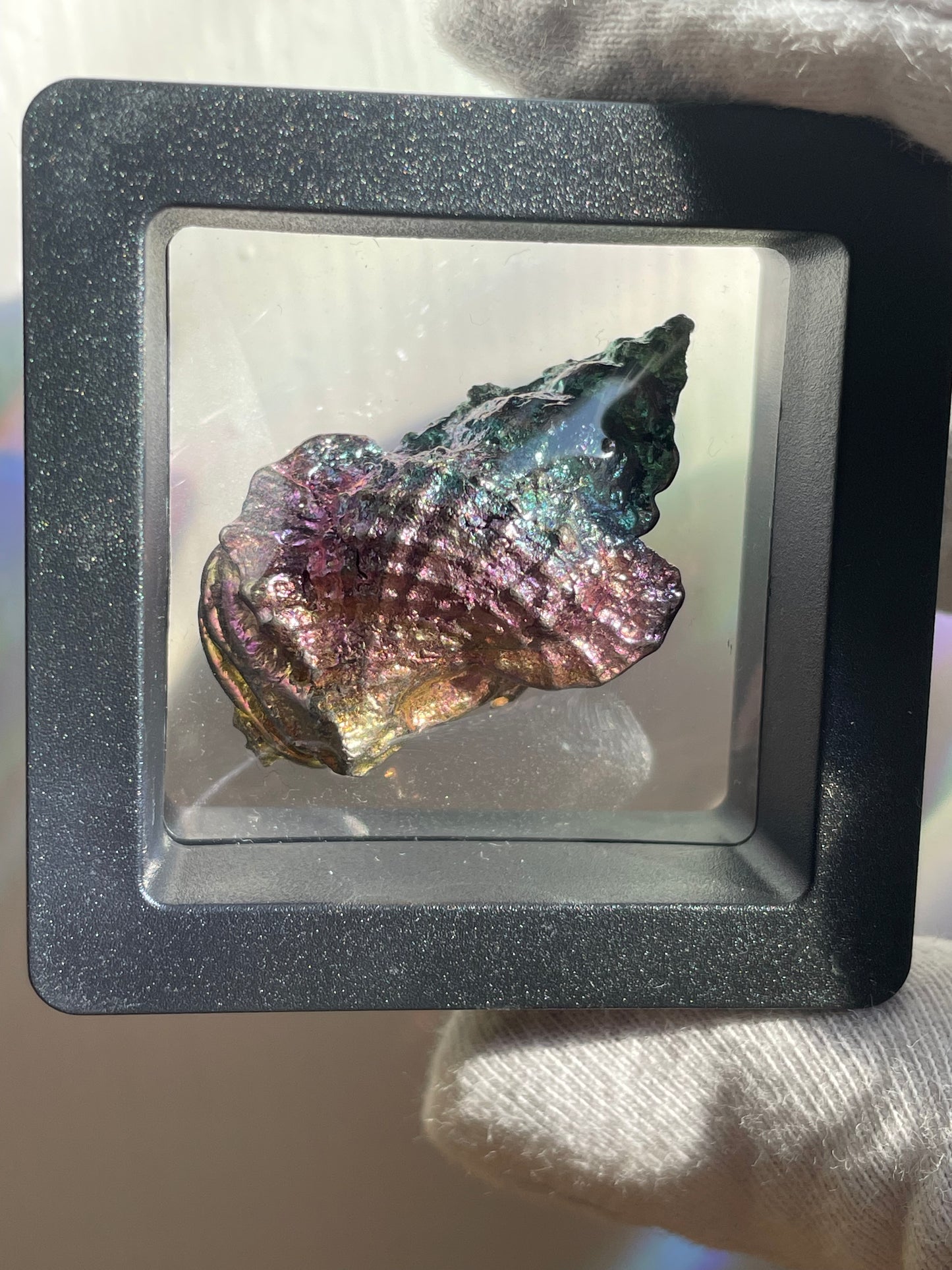 Rainbow Bismuth Crystal Tulip Sea Shell Metal Art Sculpture