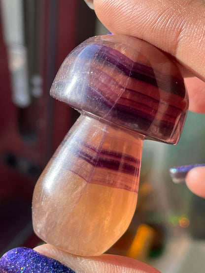 Purple Yellow Striped Fluorite Crystal Gemstone Mushroom Carving