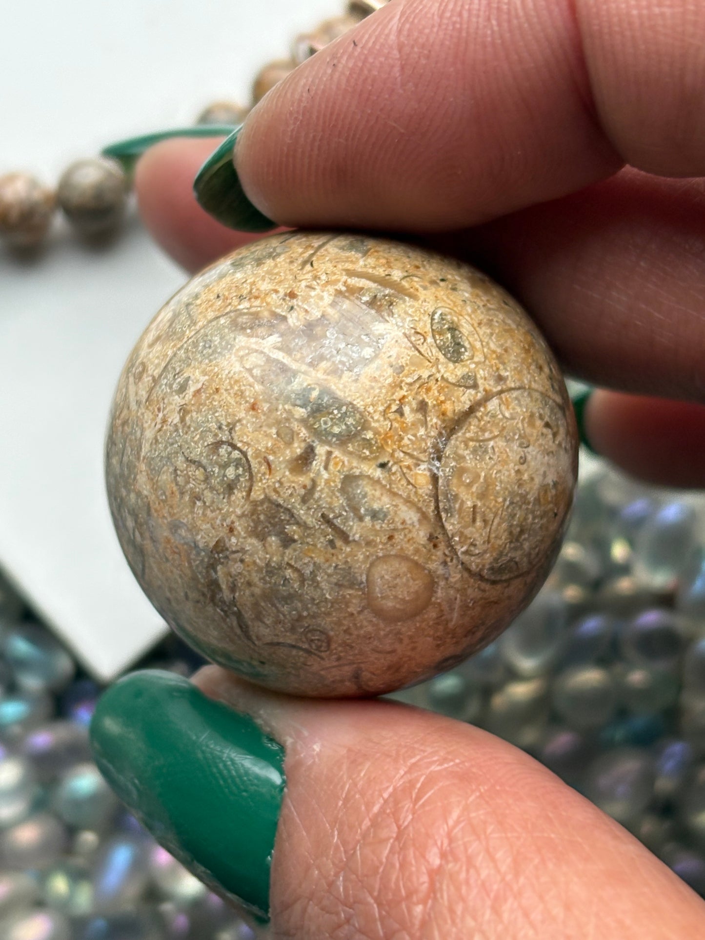 Fossil Jasper Crystal Gemstone Sphere & Bracelet Gift Set