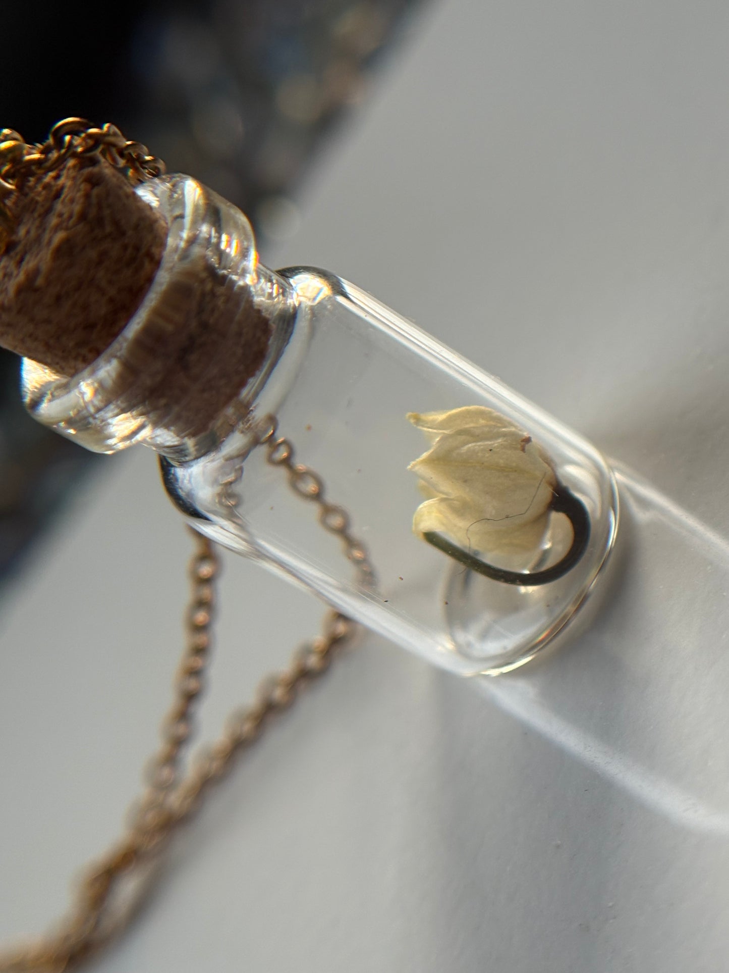 Secret Garden Dried Flower Vial Necklace Gift Set (gold)