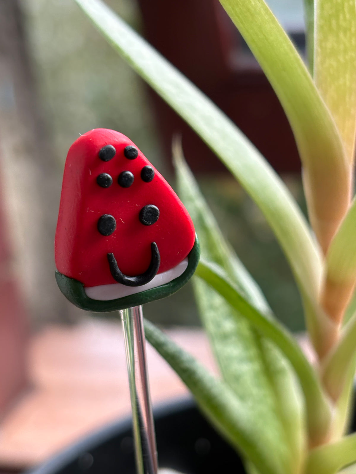 Wesley The Watermelon Clay Art Plant Pot Buddy